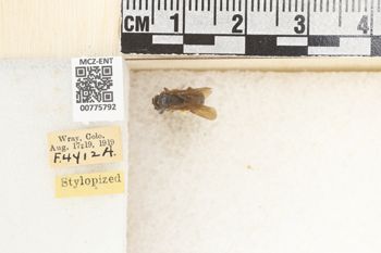 Media type: image;   Entomology 775792 Aspect: Labels